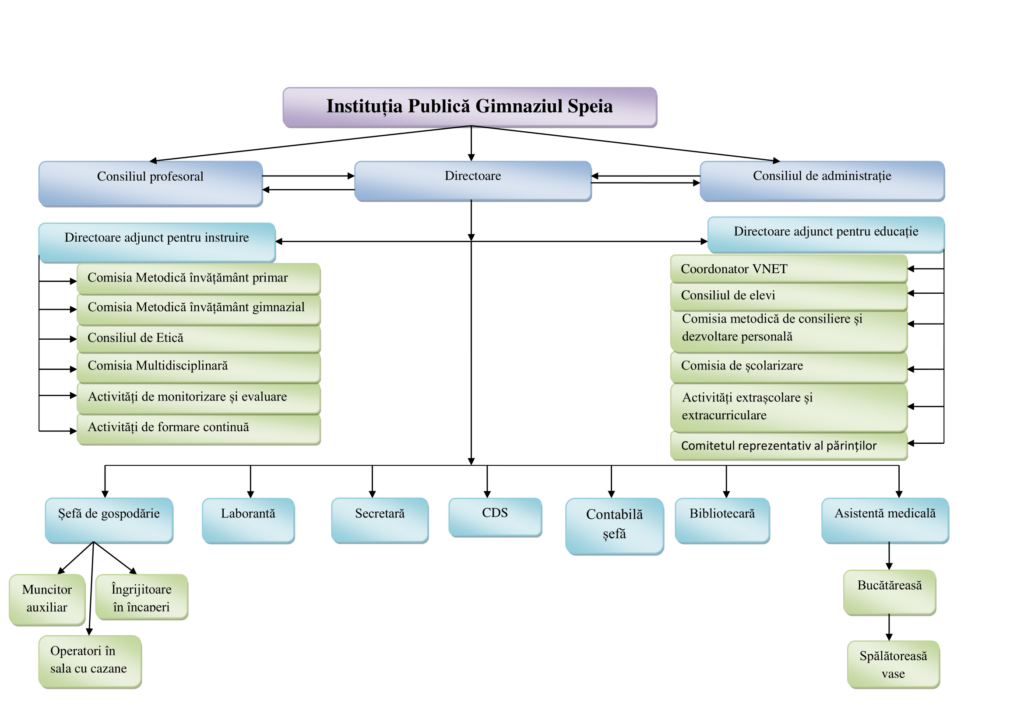 Organigrama 2024-2025-1